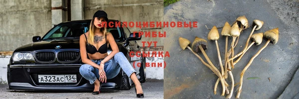 спайс Остров