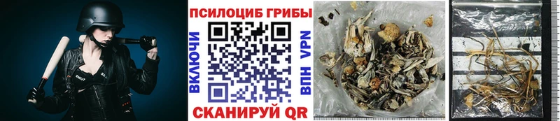 Галлюциногенные грибы мицелий Мариинск